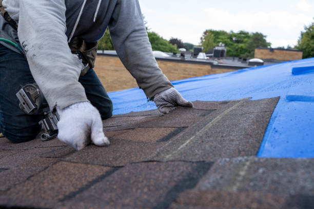Best Cold Roofs  in Oakwood, IL