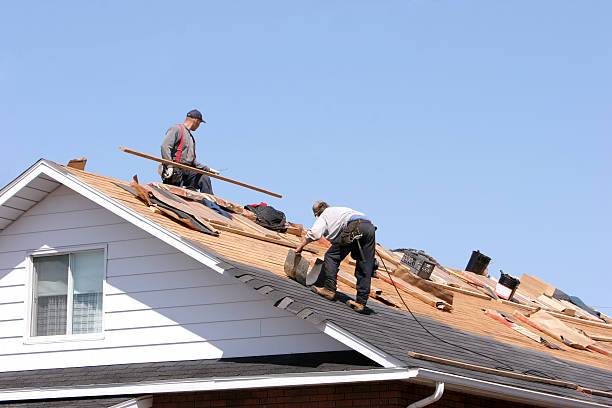 Best Roof Moss and Algae Removal  in Oakwood, IL