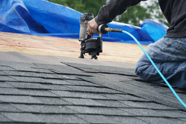 Best Commercial Roofing Services  in Oakwood, IL